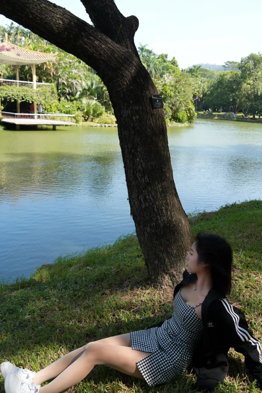 Weather is perfect for picnic picture 1 of 4