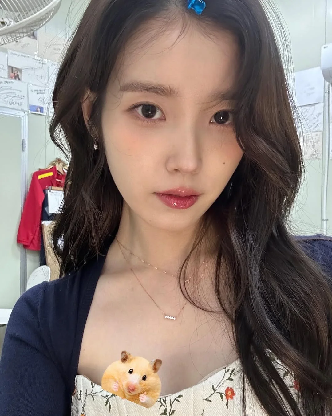 IU picture 1 of 2