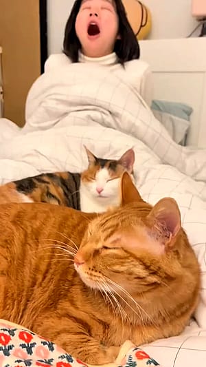Sleepy cutie with her cuties'