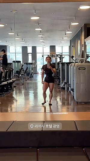 Liu Chenqi'