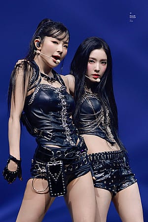 Seulgi Irene'