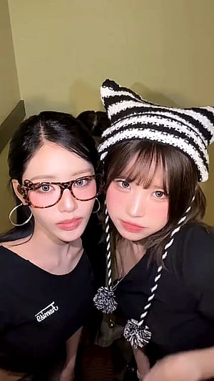 🐯😸🐯'