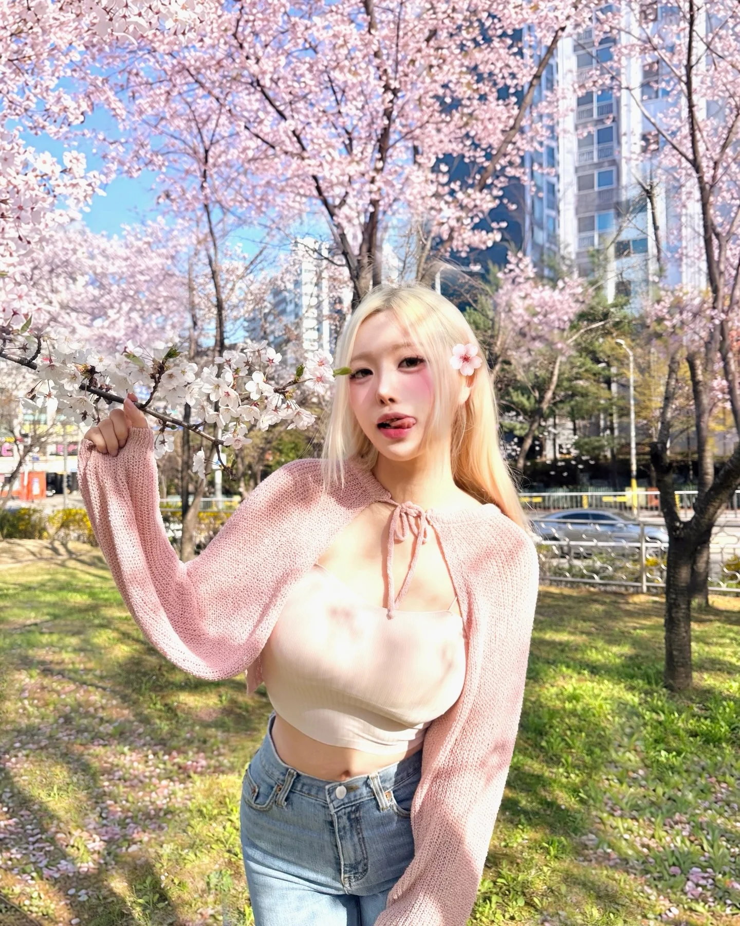 lihayou picture 1 of 6