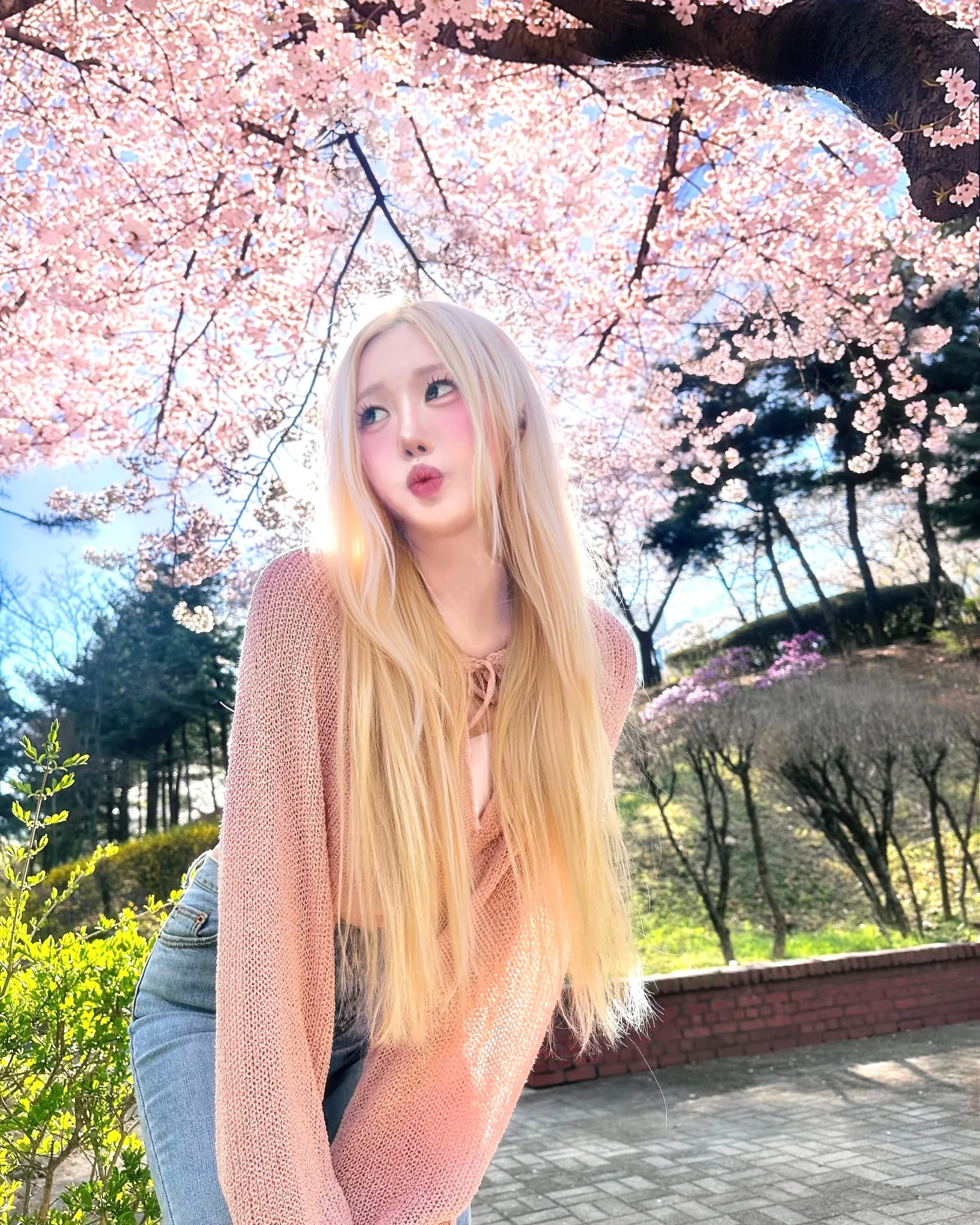 lihayou picture 4 of 6