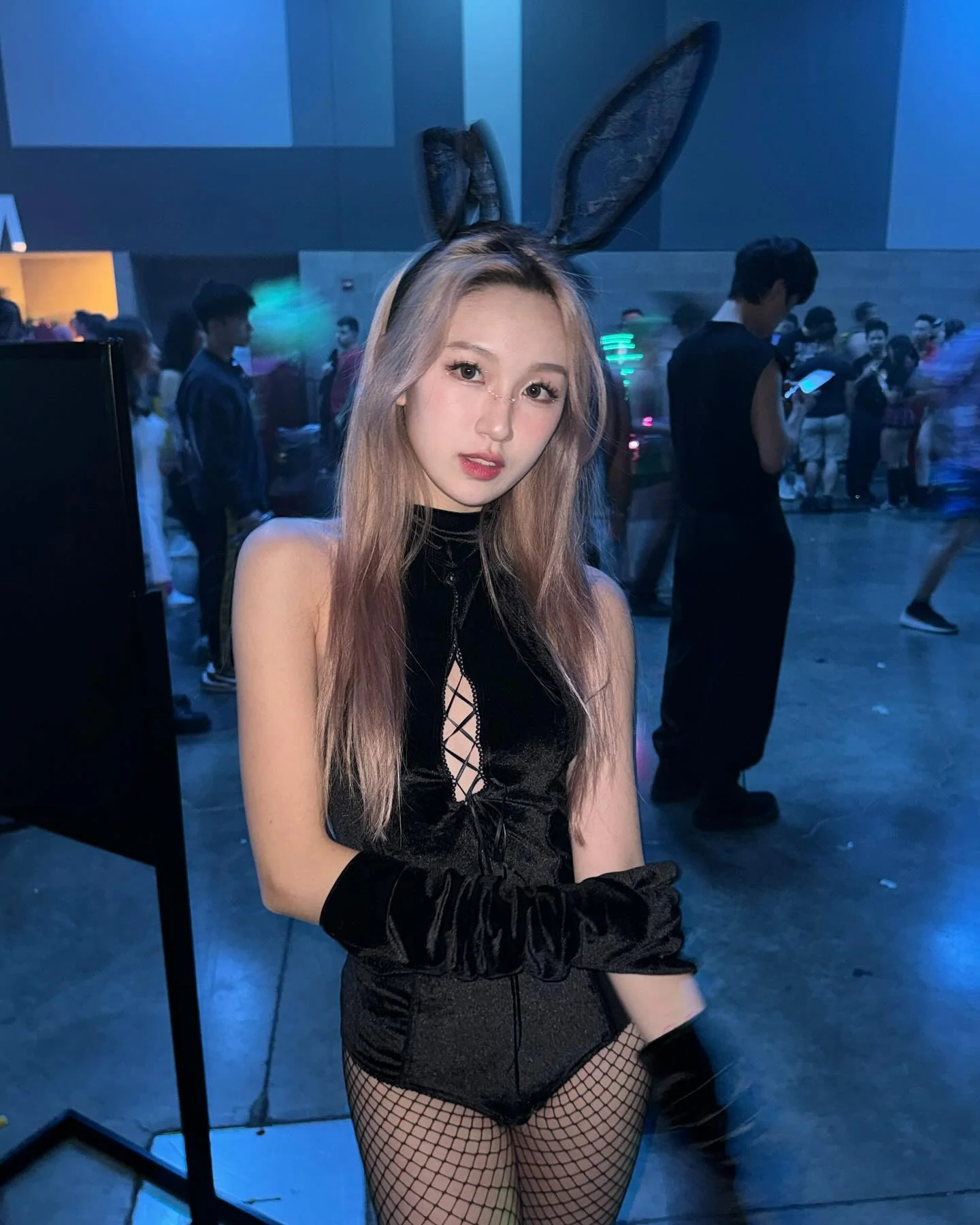 Blonde asian bunny picture 6 of 10